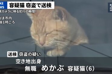 【目が腐る】最新AIが作ったニュースがヤバすぎる