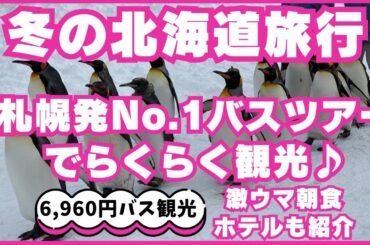 ★冬の北海道旅行★激安ツアー＆現地ツアーで大満足北海道旅☆入手困難限定お土産☆旭山動物園と青い池ツアー☆札幌プリンスホテル☆