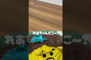 れあちゃんどこ〜？#マルプー #ミニチュアシュナウザー #かわいい犬 #かわいい #いぬのきもち #いぬのいる生活 #いぬすたぐらむ #可愛い #癒し #どこ？#いぬばか部