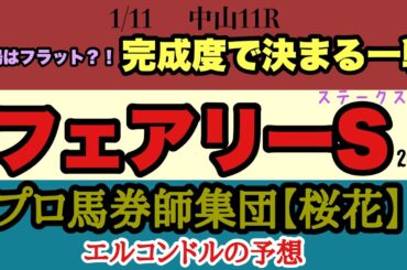 フェアリーステークス2026予想｜馬場はフラット？完成度で明暗！先行も差しも消せない難解戦【エルコンドル氏】