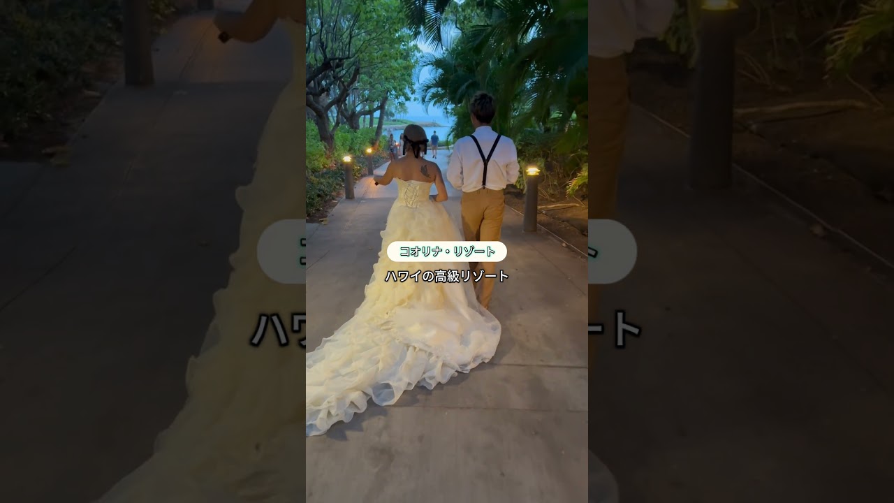 【ハワイ】どこでもプライベートツアー・11月3日A様#カワイイハワイツアー #ハワイツアー #ワイキキ #アウラニ 【ハワイ】どこでもプライベートツアー・11月3日A様#カワイイハワイツアー #ハワイツアー #ワイキキ #アウラニ