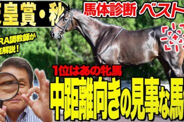 【天皇賞・秋2025】中村均元調教師が馬体診断ベスト５を発表　中距離向きの見事な馬体！復活を狙うあの牝馬が１位《東スポ競馬》