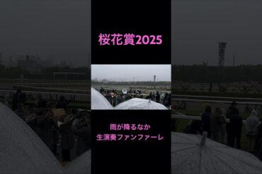 桜花賞2025 傘の花が咲く中での生演奏ファンファーレ #競馬 #shorts #桜花賞
