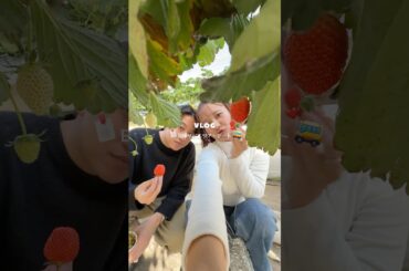 カニ食べ放題のバスツアー🦀🚌✨ #バスツアー #日帰り旅行 #旅行vlog #デート #あしかがフラワーパーク