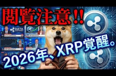 【希望】金ない奴ほどこれ見ろ！2026年XRPのデータがヤバすぎて震えが止まらない