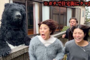 クマが家に出没した  目の前で遭遇…親グマが突然車に“突進”家族が襲われた映像の一部始終