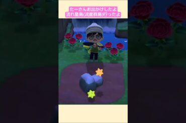 【あつ森】星のかけらゲット #流れ星島  @たーさんの趣味の部屋  #たーさんお出かけしたよ  #shorts