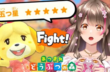 【あつ森】検証！島の評判★５チャレンジ！ 島評価をその日のうちに星5にすることはできるのか？【あつまれどうぶつの森 ライブ】