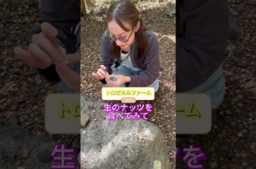 【ハワイ】どこでもプライベートツアー・10月19日 S様＃カワイイハワイツアー ＃ハワイツアー ＃ワイキキ ＃アウラニ