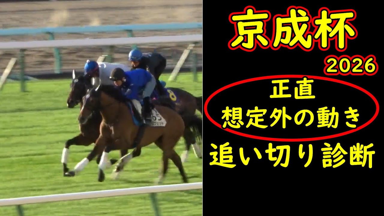 京成杯2026追い切り診断|想定外の動き…評価を見直した馬と中山でズレる馬 京成杯2026追い切り診断|想定外の動き…評価を見直した馬と中山でズレる馬