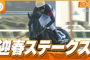 【レース映像】中山11R 迎春ステークス｜アスクナイスショー（田辺裕信）｜ウイニング競馬