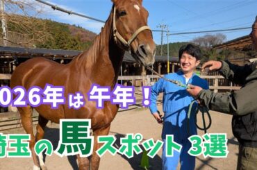 参拝・絵付け・ふれあい体験も！午年のお出かけはここに決まり！埼玉の馬スポット【いまドキッ！埼玉】2026.1.10放送