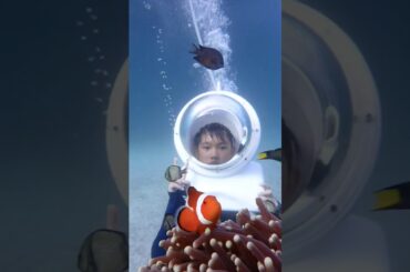 【ﾌｨﾘﾋﾟﾝ旅行⑮】ｱｲﾗﾝﾄﾞﾎｯﾋﾟﾝｸﾞﾂｱｰ🐣　island hopping tour【Philippine Trip】🐥🐥 #boracay#ﾎﾞﾗｶｲ#ﾘｿﾞｰﾄ#ｽﾞｰﾄﾋﾟｱ