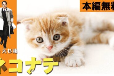 【🎬無料配信中】『劇場版ネコナデ 』名バイプレイヤー大杉漣主演のハートウォーミング・ドラマ！冷酷無比な企業戦士として生きてきた中年男が、子ネコとの出会いを通じて変わっていく姿が愛らしい💓