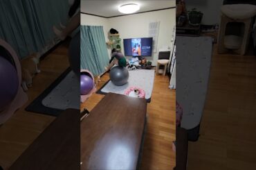 NGシーン Alive A life🎵 松本梨香🎶 #動じない猫 #信頼関係 アクロバット×バランスボール 頭の中で楽曲を想像&表現🧏‍♀️ #仮面ライダーシリーズ #龍騎