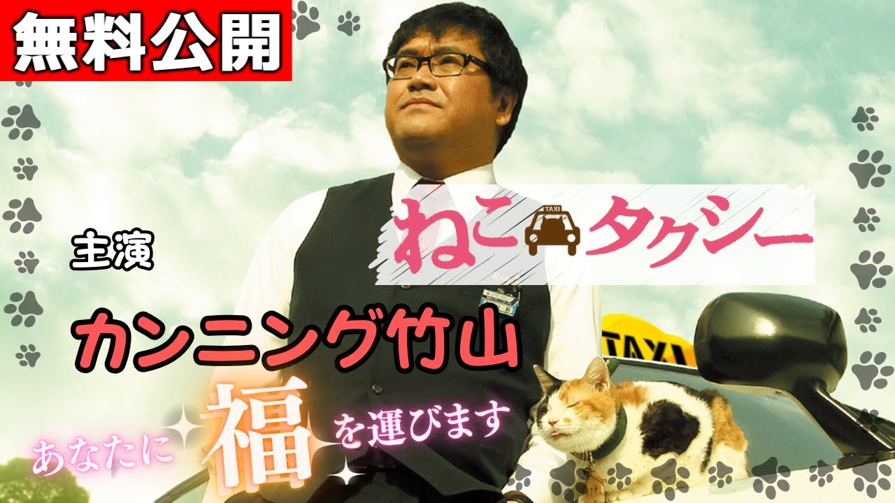 【🎬無料配信中】『映画版 ねこタクシー』～頑張りたいのに頑張れない、すべての人にお届けするやさしい映画～