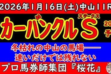 カーバンクルステークス2026予想｜冬枯れの馬場×中山1200の罠…速さだけでは残れない理由