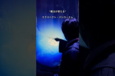 スタジオツアー東京で映画の世界に本気で入り込める場所に行ってきた。#旅行 #東京 #観光