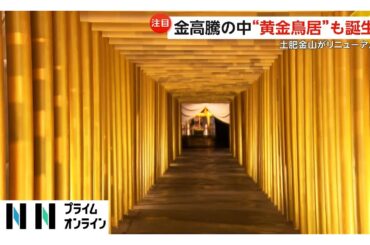 「お金増えないかな」黄金鳥居が金価格高騰で注目！荘厳な50本の金箔の鳥居ズラリ…土肥金山が“開運”リニューアル