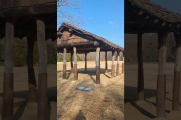 2026.1.17リストラおじさんの暇つぶし〜