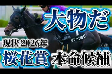 リリージョワについて 【桜花賞2026へ】#リリージョワ #桜花賞2026