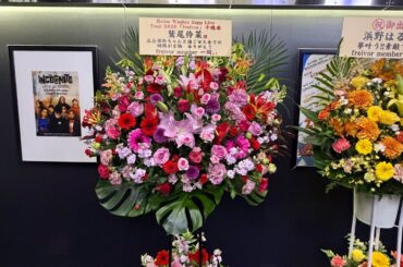 鷲尾伶菜　好きですか？　Zepp Fukuoka Live Tour 2025 「freivor」2025.12.21