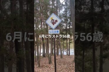 2026.1.20リストラおじさんの散歩〜