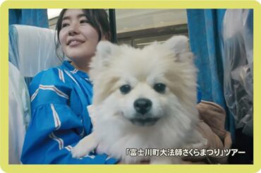 Wan!Passアンバサダーとは？Wan!Pass掲載店舗を一緒に増やしてペットツーリズムを盛り上げよう！