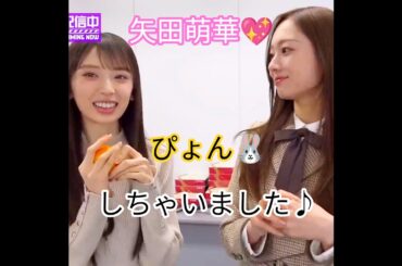 『楽屋カメラ📸乃木坂工事中🚧､2025年ラストの裏側をお届け♪』矢田萌華💖､嬉しすぎて､飛び跳ねちゃいました🐰💖｡…#矢田萌華 #乃木坂46 #乃木坂工事中 #shorts