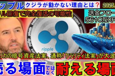 リップル（XRP）クジラがHOLD！理由がやばい⁉米国のクラリティ法案で大バトル！ETPでビットコインに莫大な資金流入！凄いことになっている！