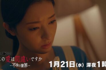 【予告】水ドラ25「この愛は間違いですか～不倫の贖罪」第3話 | テレビ東京