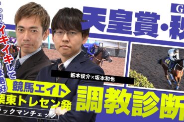【競馬エイト調教診断】天皇賞・秋（坂本和也＆籔本俊介）