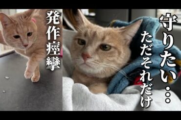 一ヶ月前の痙攣発作…予防接種の日に悩む私たち　⚠️発作映像も流れます⚠️