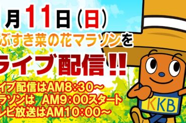 いぶすき菜の花マラソン2026ライブ配信 ～ゴールするランナーの様子をお届けします～