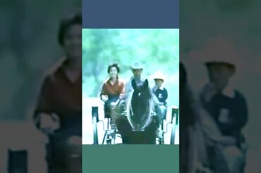 聖子ポッキーin函館の旅🍃港～ロープウェイ函館山:世界三大夜景の一つ