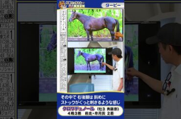 【2025年 ダービー】皐月賞２着クロワデュノールの馬体診断　 #shorts #競馬 #予想