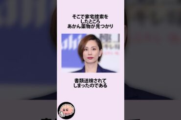 米倉涼子が薬物で書類送検された件に関するうんちく