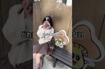 【20代女子必見！】「旅行は行きたいけど、準備が面倒…」を解決！ツアーなら“ラク・安心・自由”が全部叶う♡旅行会社オリオンツアーに注目です🚍💖