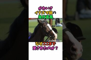 かわいさイナズマ級の皐月賞馬なぜここまで愛されたのか？#競馬 #horse
