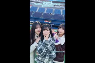 日向坂46 小坂菜緒 正源司陽子 大野愛実 キュン 君はハニーデュー クリフハンガー ヒット祈願！日向坂で会いましょう