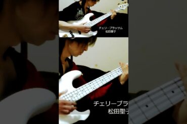 「チェリーブラッサム」松田聖子 ベース弾き・よいち