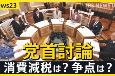 【news23党首討論】衆議院選挙 1月27日公示を前に各党党首が討論　消費減税は？選挙の争点は？【選挙の日、そのまえに。】