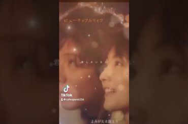 #君しかいない #LiSA #ビューティフルライフ #木村拓哉 #常盤貴子