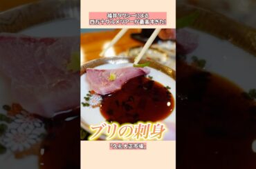 【高知グルメ】四万十川ツアーが最高でした！ #こうちとりっぷ  #福井タクシー #久礼大正市場