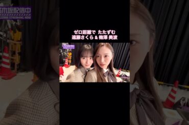 梅澤美波の背後霊のようになる遠藤さくら｜乃木坂46【乃木坂工事中】【乃木坂投稿中】