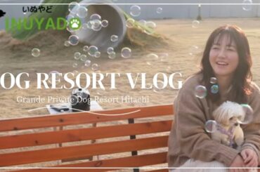 いぬやどさんの取材で、愛犬と泊まれるホテルご紹介！