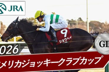 2026年 アメリカジョッキークラブカップ（GⅡ） | ショウヘイ | JRA公式