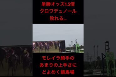 皐月賞2025 ゴールの瞬間 どよめく中山競馬場 #shorts #クロワデュノール #モレイラ #ミュージアムマイル #皐月賞2025 #中山競馬場 #競馬