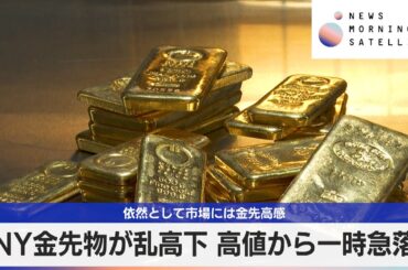 NY金先物が乱高下 高値から一時急落　依然として市場には金先高感【モーサテ】