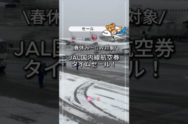 JAL国内線タイムセール来た！GW含む旅行が今だけ特価✈️沖縄9,900円〜